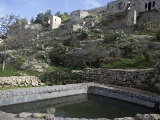 צילום: פלאש 90. ליאור מזרחי
