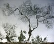 שלושה טיולים לחג ומעיין אחד