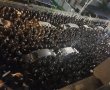 במסע הלוויה ענק: הרה"ח ר' ישראל גרשטנקורן ז"ל הובא למנוחות