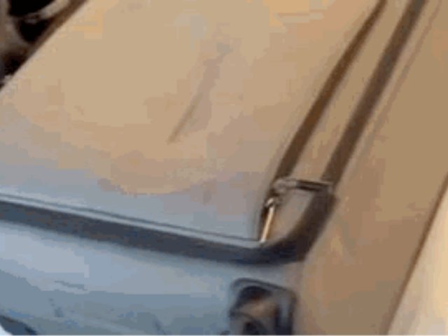 צילום: דוברות המשטרה 
