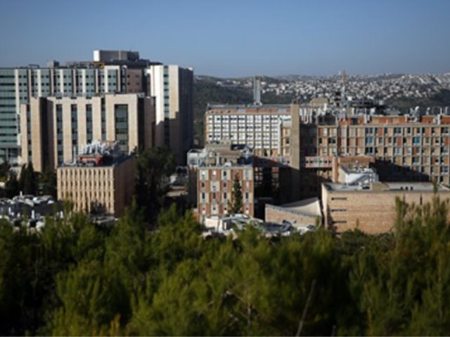 צילום: פלאש 90 / הדס פרוש