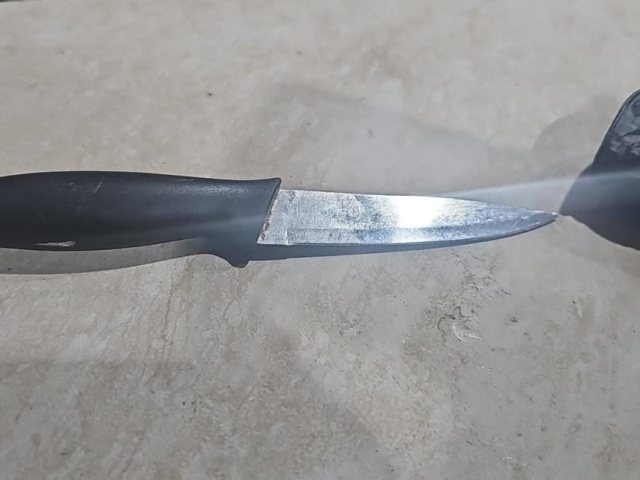 צילום: דוברות המשטרה