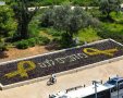 צילום: ארנון בוסאני 