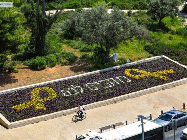 צילום: ארנון בוסאני 