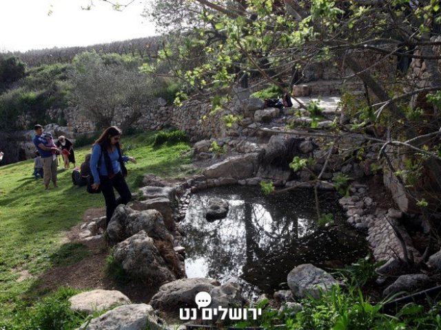 צילום: פלאש 90