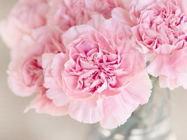 Pixabay