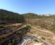 תמונה ללא תיאור