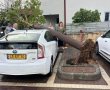 עד כמה חזקה הייתה  הסערה בגן יבנה? עץ נפל על רכב ברחוב תור