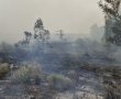 ראש הממשלה בדרכו לחפ"ק השריפה: בקרוב מסיבת עיתונאים