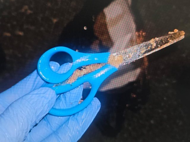 צילום: דוברות המשטרה 