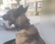 תיעוד שעלה מרשתות החברתיות. שימוש לפי סעיף 27א׳ לחוק זכויות יוצרים 