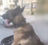 תיעוד שעלה מרשתות החברתיות. שימוש לפי סעיף 27א׳ לחוק זכויות יוצרים 