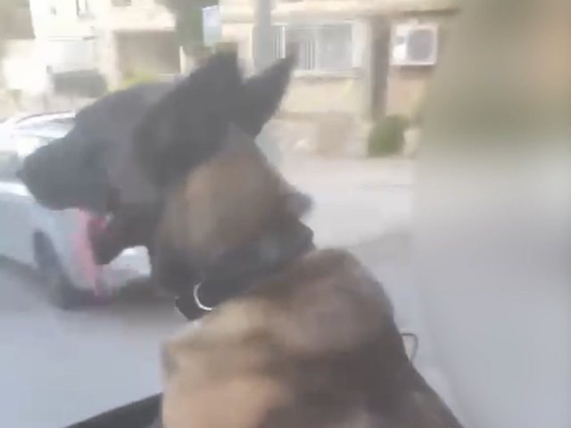 תיעוד שעלה מרשתות החברתיות. שימוש לפי סעיף 27א׳ לחוק זכויות יוצרים 