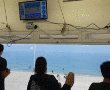 איזה חוף הכי נקי 2022 ? חוף ראשון לציון, חוף פלמחים, חוף אשדוד. אלו תוצאות הניקיון החופים הפתוחים בישראל