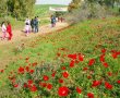 המלצות לבילוי בסופ"ש ביישובי הדרום והסביבה