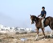 תושב מזרח העיר נעצר בחשד שהסתובב ערום ודקר סוס