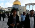 תמונה ללא תיאור