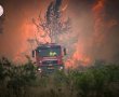אשדוד אדומה: רמת הכוננות הגבוהה ביותר; אירועי יום העצמאות בוטלו