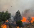 שריפת הענק בהרי ירושלים: טרם הושגה שליטה 