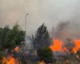 קרדיט צילום: שגב ביטון, תיעוד מבצעי, כב"ה ירושלים.