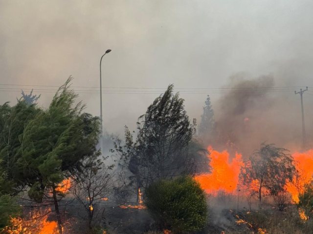 קרדיט צילום: שגב ביטון, תיעוד מבצעי, כב"ה ירושלים.