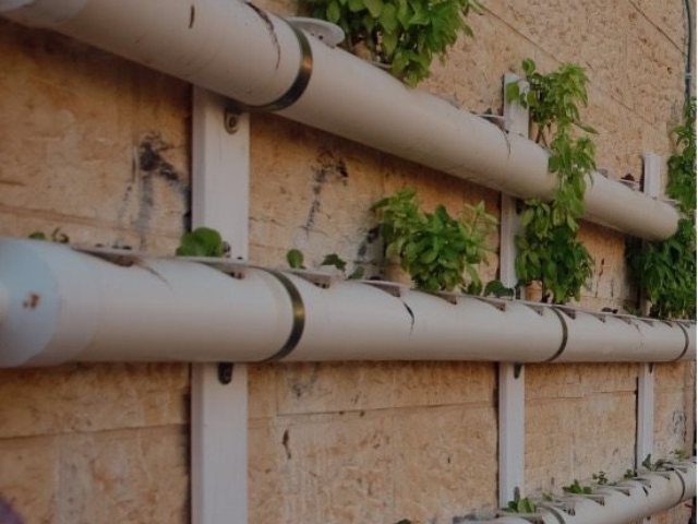 צילום: דוברות עיריית ירושלים 