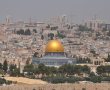 תרבות, ספורט ומשמעת על ארבע: המדריך המלא עבור אילוף כלבים בירושלים והסביבה