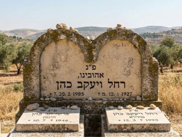 קרדיט-תמונת AI gemini