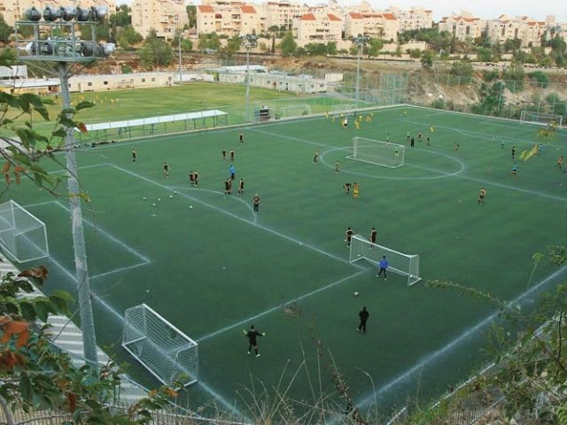 צילום: ארנון בוסאני  